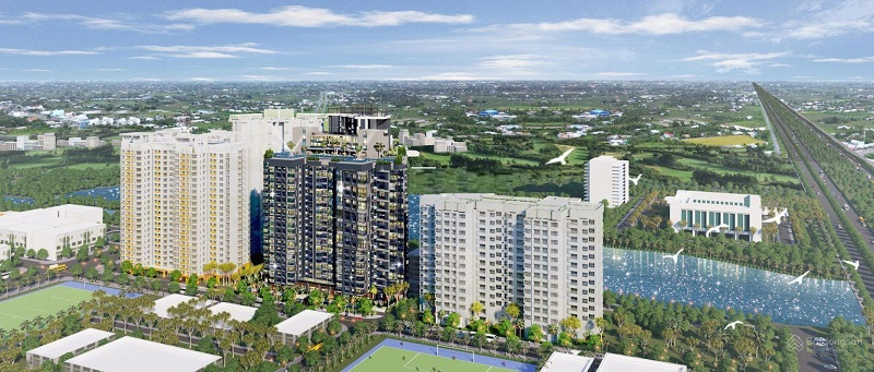 Thương hiệu Beta